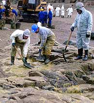 1106305565_0[1].jpg
